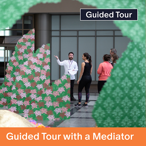 Guided Tour with Mediator