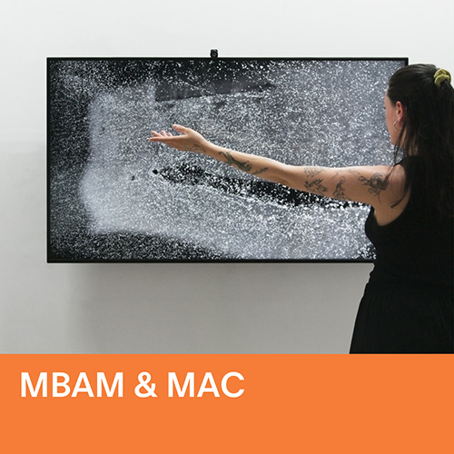 Visite guidée Musée des beaux-arts de Montréal x Musée d'art contemporain